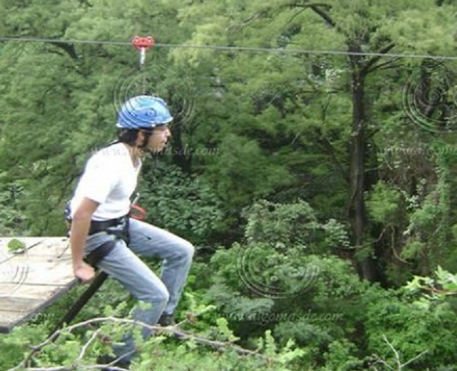  Canopy sport